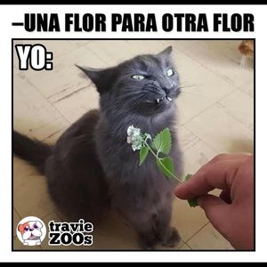 Meet your Posher, Marvin